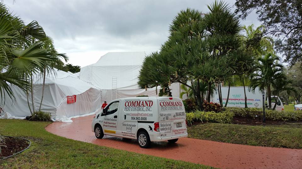 Command Pest Control | 2195 N Andrews Ave #11, Pompano Beach, FL 33069, USA | Phone: (954) 943-0008