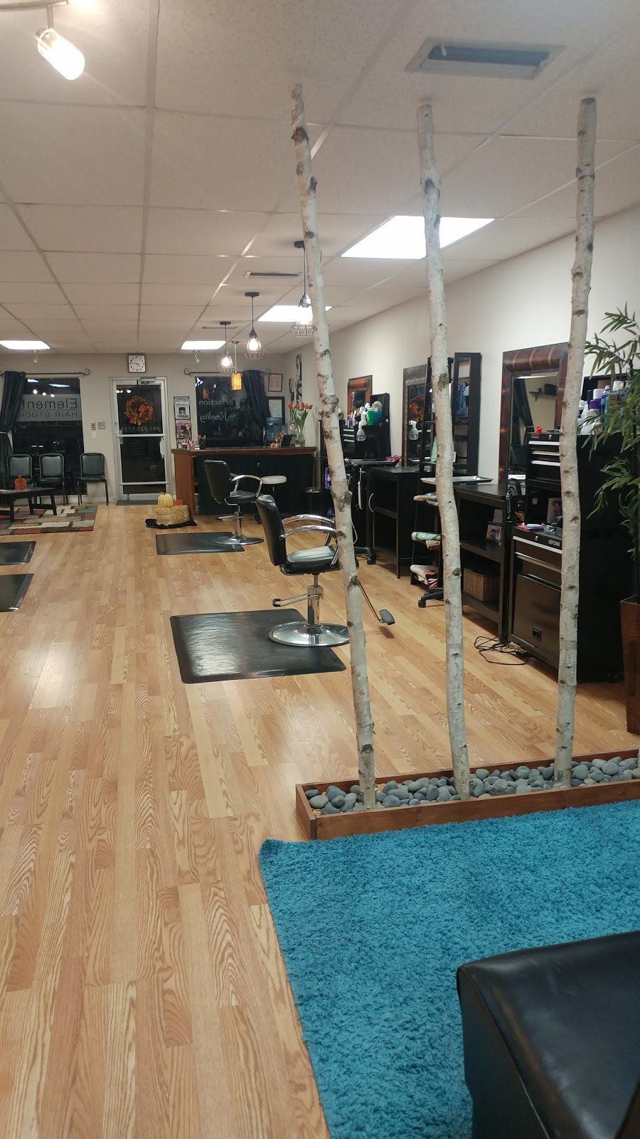 Elements Hair Studio | 5708 Swift Rd, Sarasota, FL 34231, USA | Phone: (941) 923-3753