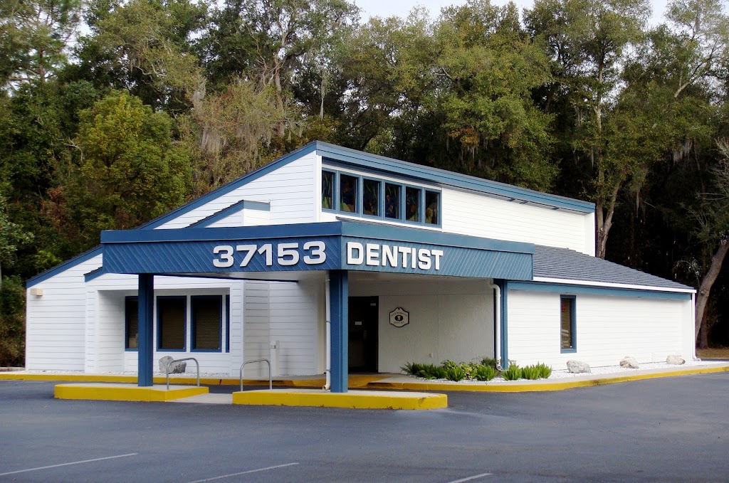 Matthew S. Bryington, D.M.D. | 37153 FL-54, Zephyrhills, FL 33542 | Phone: (813) 788-0451