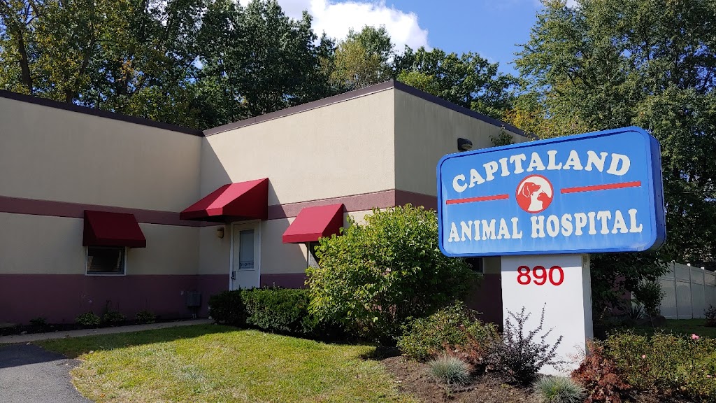 Capitaland Animal Hospital | 890 Troy-Schenectady Rd, Latham, NY 12110, USA | Phone: (518) 785-5531