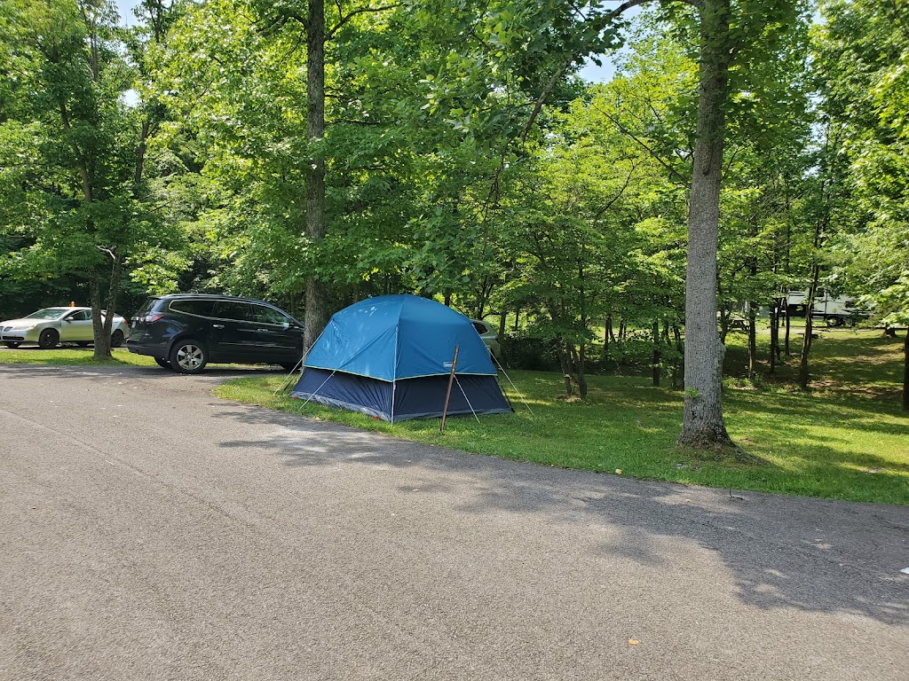 Deam Lake State Recreation Area | 1217 Deam Lake Rd, Borden, IN 47106, USA | Phone: (812) 246-5421