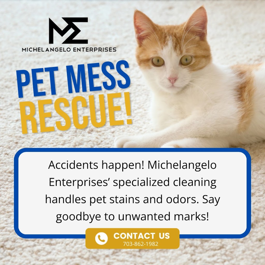 Michelangelo Enterprises | 4708 Tara Dr, Fairfax, VA 22032, USA | Phone: (703) 862-1982