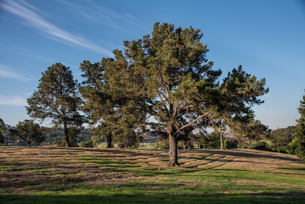 Rolling Hills Memorial Park | 4100 Hilltop Dr, Richmond, CA 94803, USA | Phone: (510) 223-6161