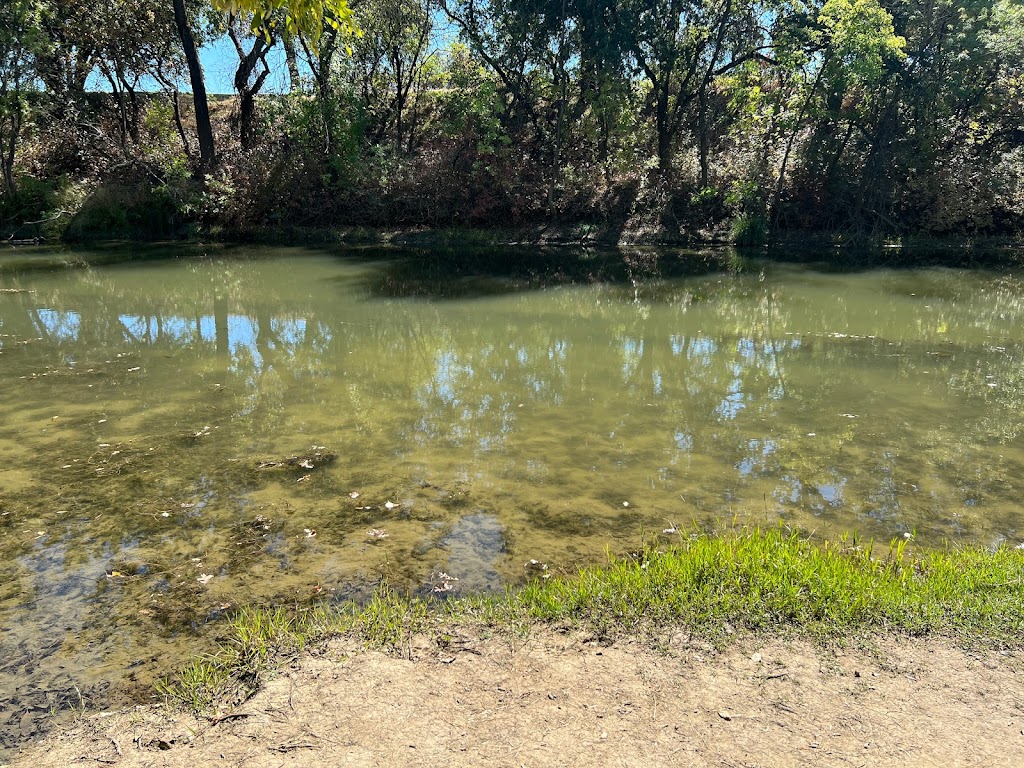 Putah Creek Riparian Reserve | Levee Rd & Brooks Rd, California 95616, Levee Rd, Davis, CA 95616, USA | Phone: (530) 752-0763