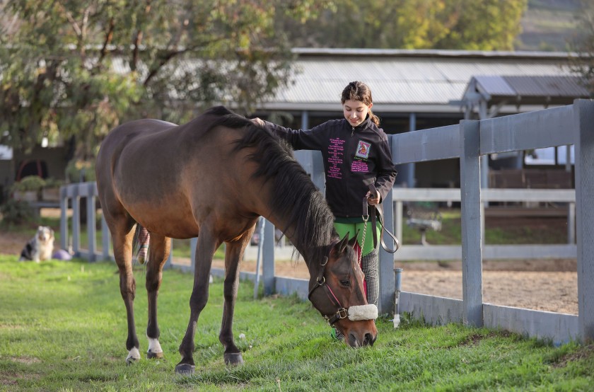 Miller Equestrian Services | 936 Vista Ave, Escondido, CA 92026, USA | Phone: (858) 945-1344