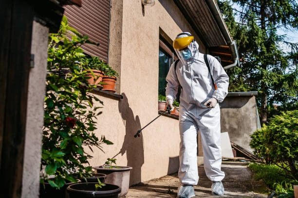 Pestico Pest Control | 1594 Whitaker Rd, Van Alstyne, TX 75495, USA | Phone: (972) 444-0012