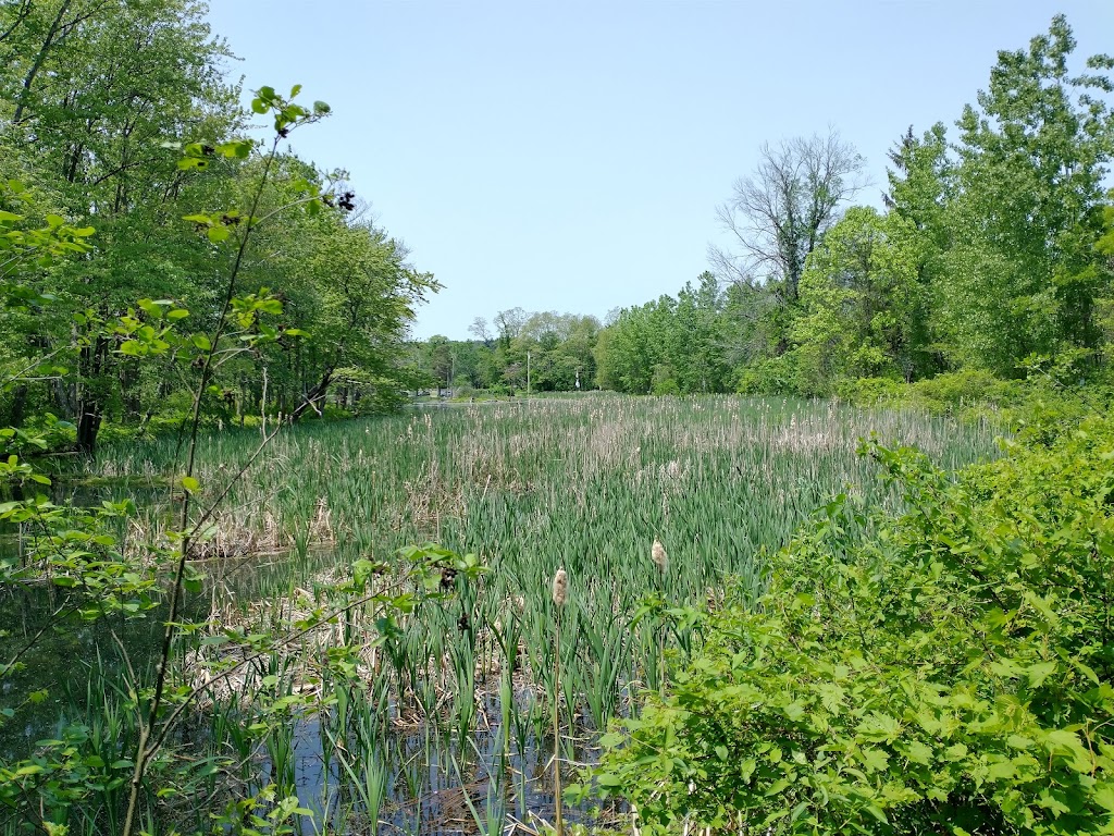 Ann Lee Pond Nature and Historic Preserve | Heritage Ln, Albany, NY 12205, USA | Phone: (518) 765-2055