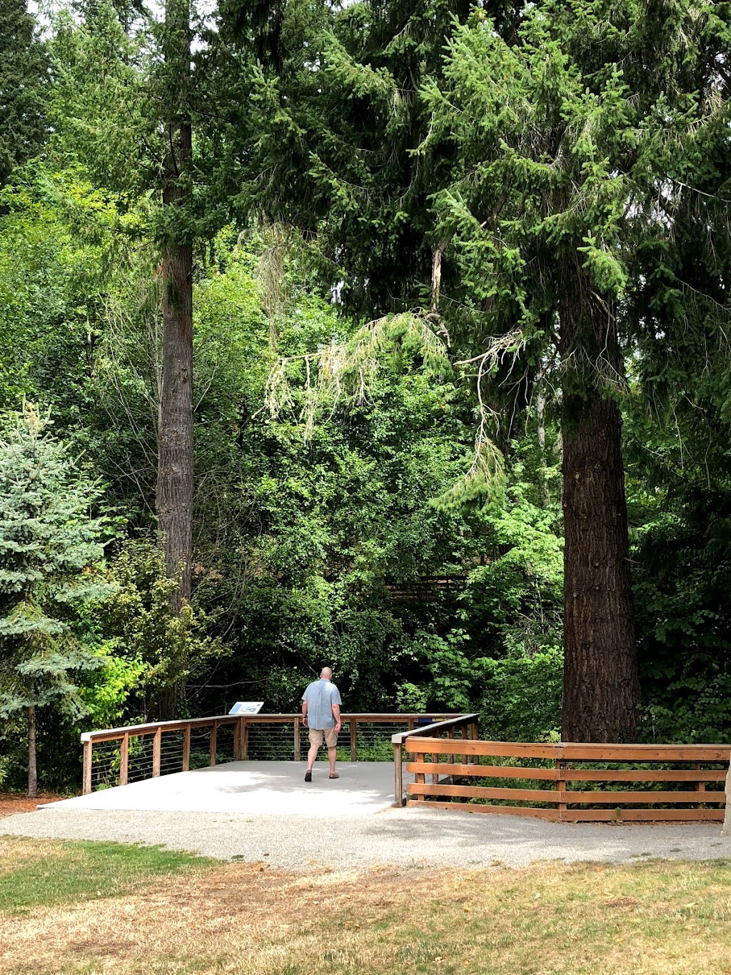 Donkey Creek Park | 8714 N Harborview Dr, Gig Harbor, WA 98332, USA | Phone: (253) 851-8136