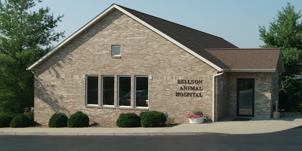 Bellson Animal Hospital | 1400 Columbia Center Drive, Columbia, IL 62236, USA | Phone: (618) 281-5100