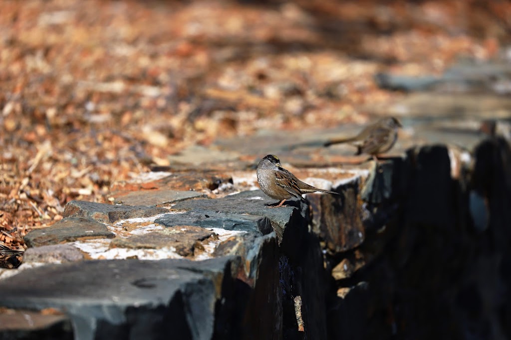 Amador County Criminal Court | 500 Argonaut Ln, Jackson, CA 95642, USA | Phone: (209) 223-6320