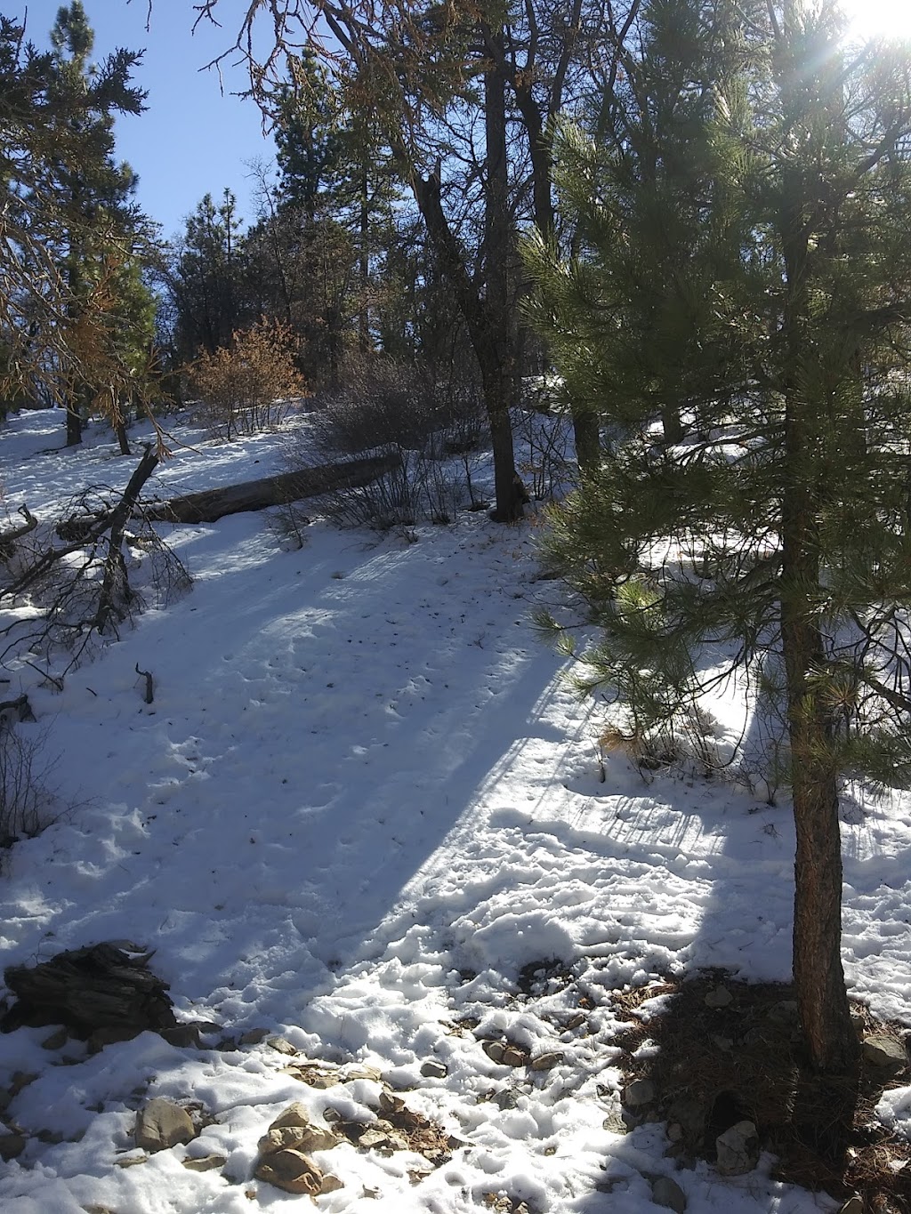 Treehouse by Big Bear Cool Cabins | 864 Kern Ave, Sugarloaf, CA 92386, USA | Phone: (800) 550-8779