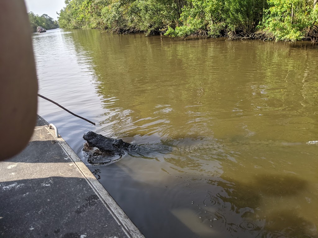 Ragin Cajun Airboat Tours | 10090 US-90, Luling, LA 70070, USA | Phone: (504) 436-8000