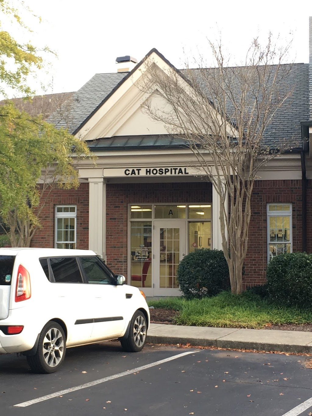 Morrisville Cat Hospital | 100 Keybridge Dr, Morrisville, NC 27560, USA | Phone: (919) 678-1554