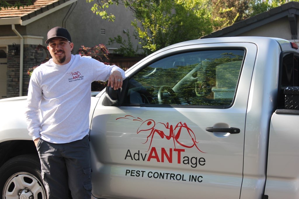 Advantage Pest Control | 970 Reserve Dr, Roseville, CA 95678, USA | Phone: (530) 637-1965
