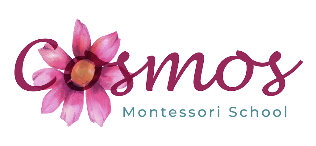 Cosmos Montessori | 310 East 38th Street Suites 133-135, Minneapolis, MN 55409, USA | Phone: (612) 444-2236