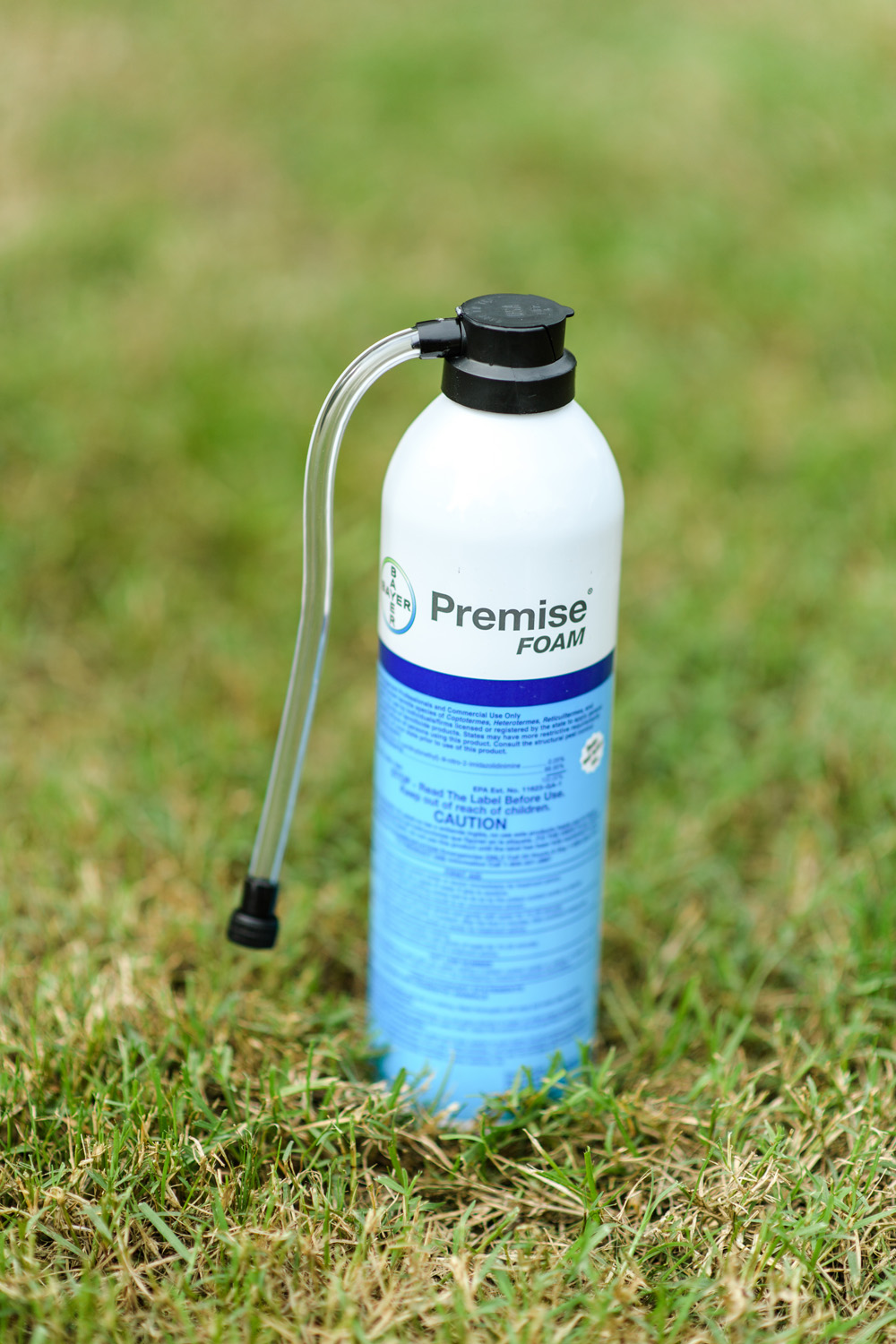 Alpha Pest Solutions LLC | 94 Kings Point Ave, Smithfield, VA 23430, USA | Phone: (757) 873-4999