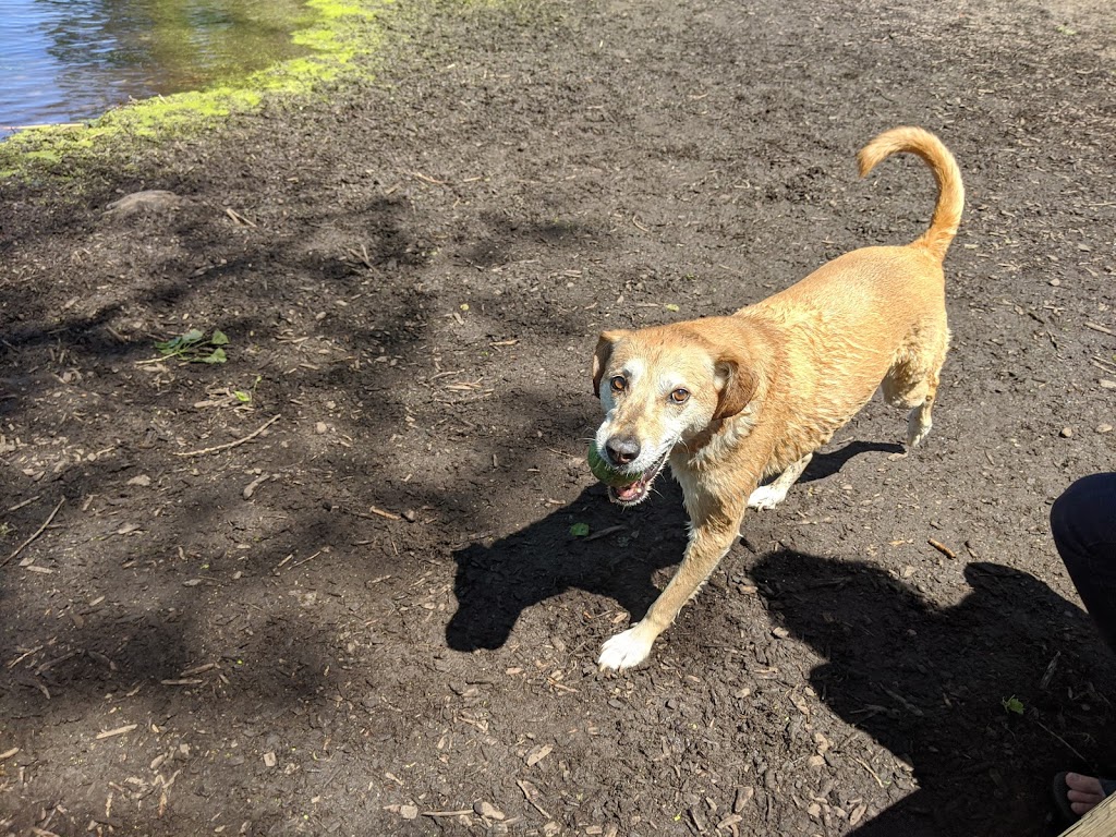 Warner Park Dog Park | 2301 Sheridan Dr, Madison, WI 53704, USA | Phone: (608) 266-4711