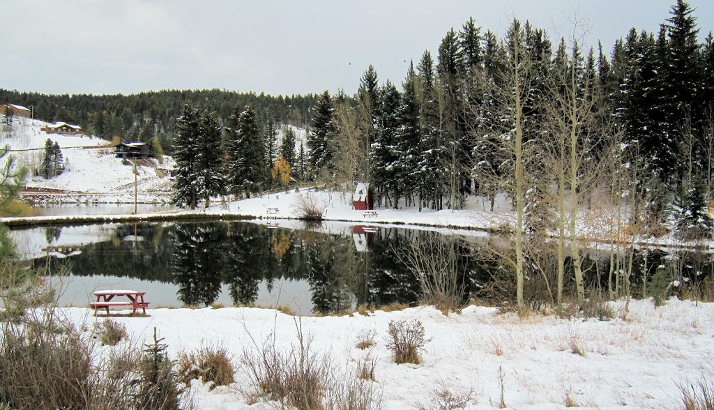 Peakview Cabin | 241 Ridge Rd, Divide, CO 80814, USA | Phone: (720) 394-8861