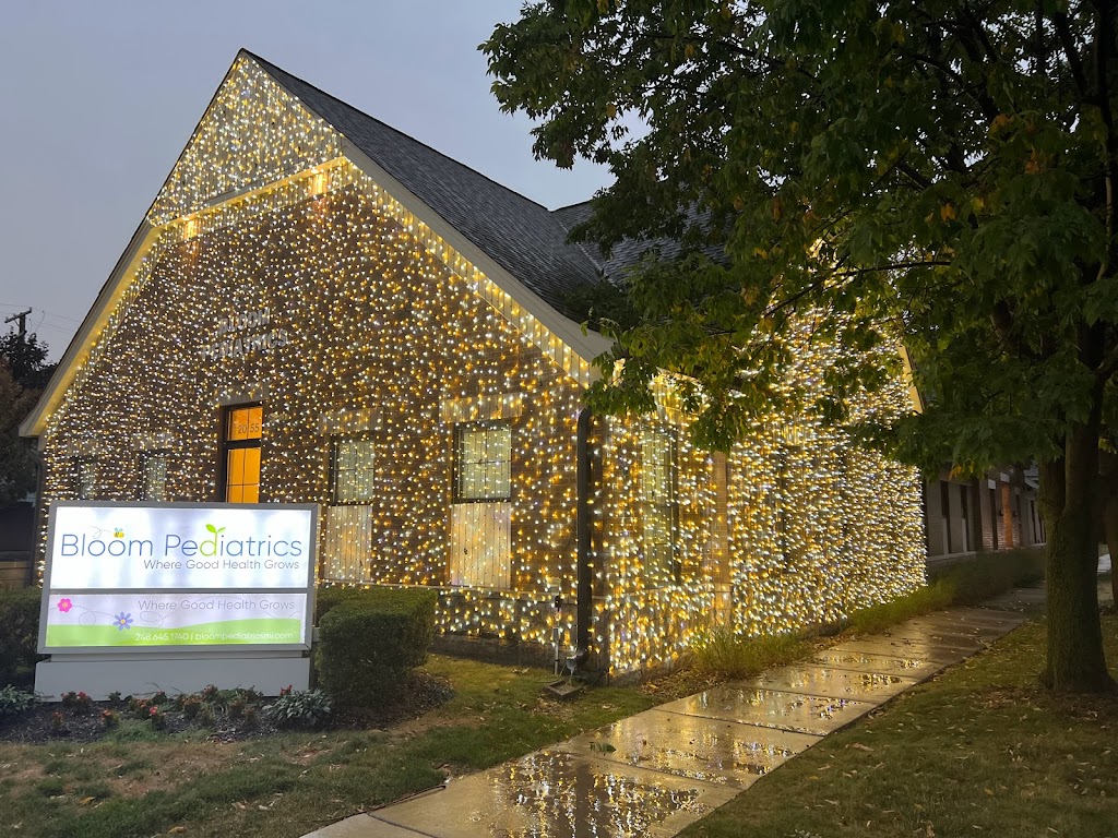 Zoros Christmas Lights | 17492 Park St, Livonia, MI 48152, USA | Phone: (248) 408-6393