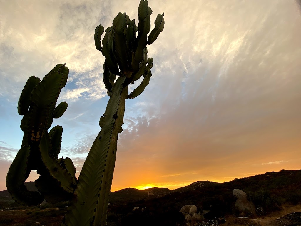 Rancho Villa-Lobos | 22763 Ensenada, Baja California, Mexico | Phone: 646 176 7400