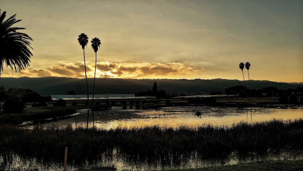 The Pleasanton Golf Center - Golf Course | 4501 Pleasanton Ave, Pleasanton, CA 94566 | Phone: (925) 462-4653