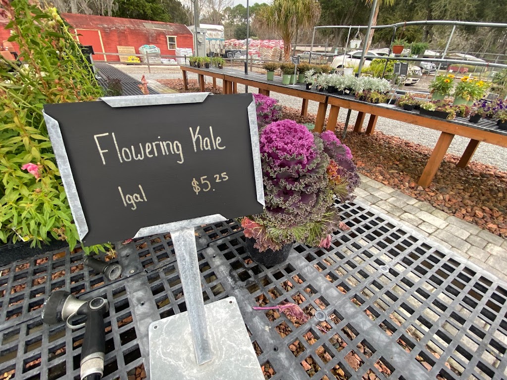 Allstar Garden Center | 11938 Pulaski Rd, Jacksonville, FL 32218, USA | Phone: (904) 240-0949