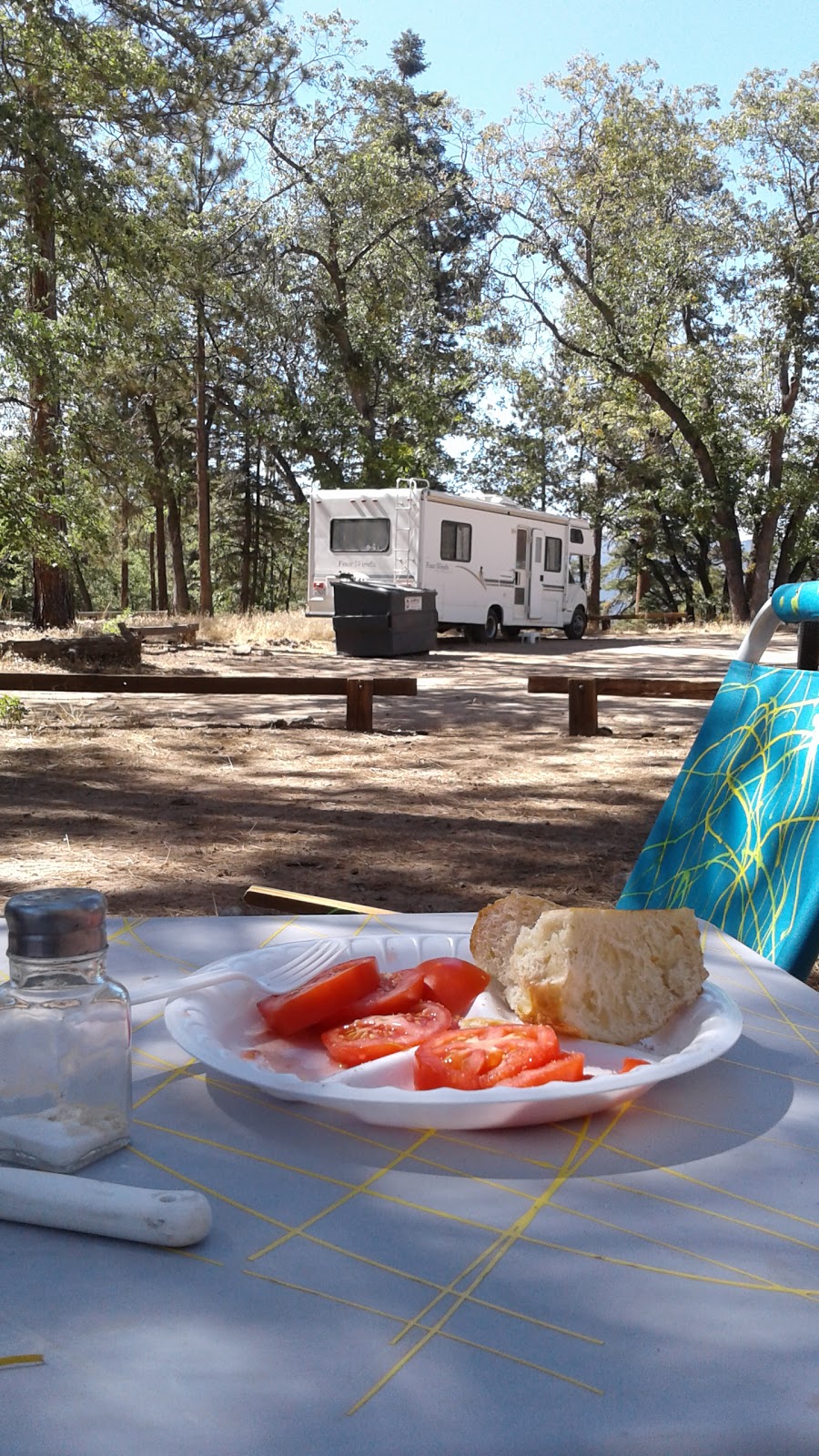 Lobo Group Campground | 43270 CA-38, Angelus Oaks, CA 92305, USA | Phone: (877) 444-6777