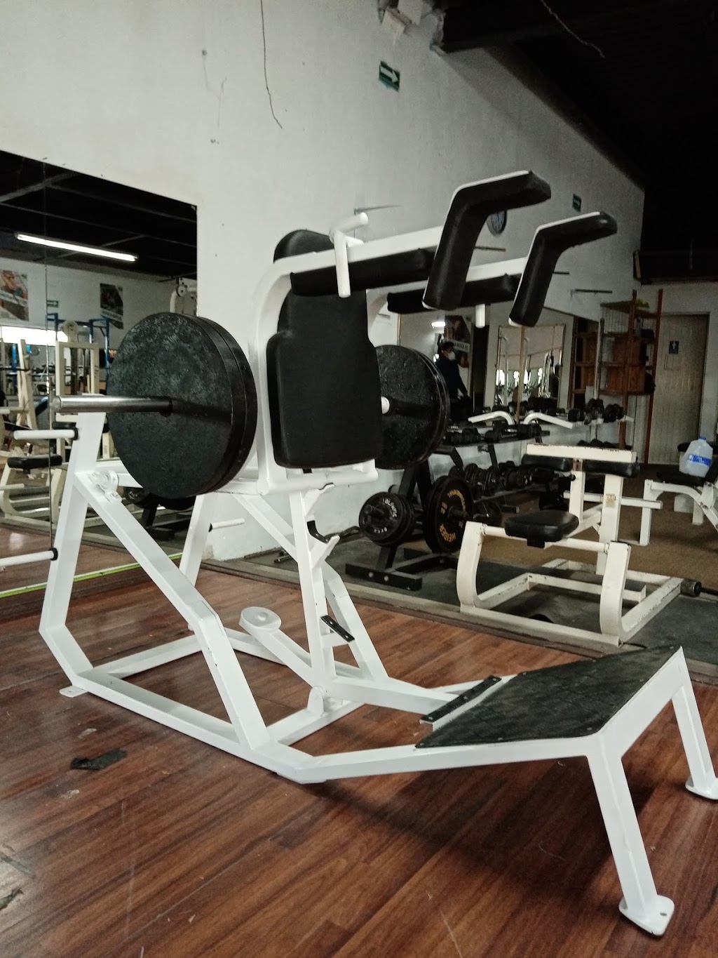 Romans Gym | Sandía 9702A_C, Florido III, 22206 Tijuana, B.C., Mexico | Phone: 664 875 0219