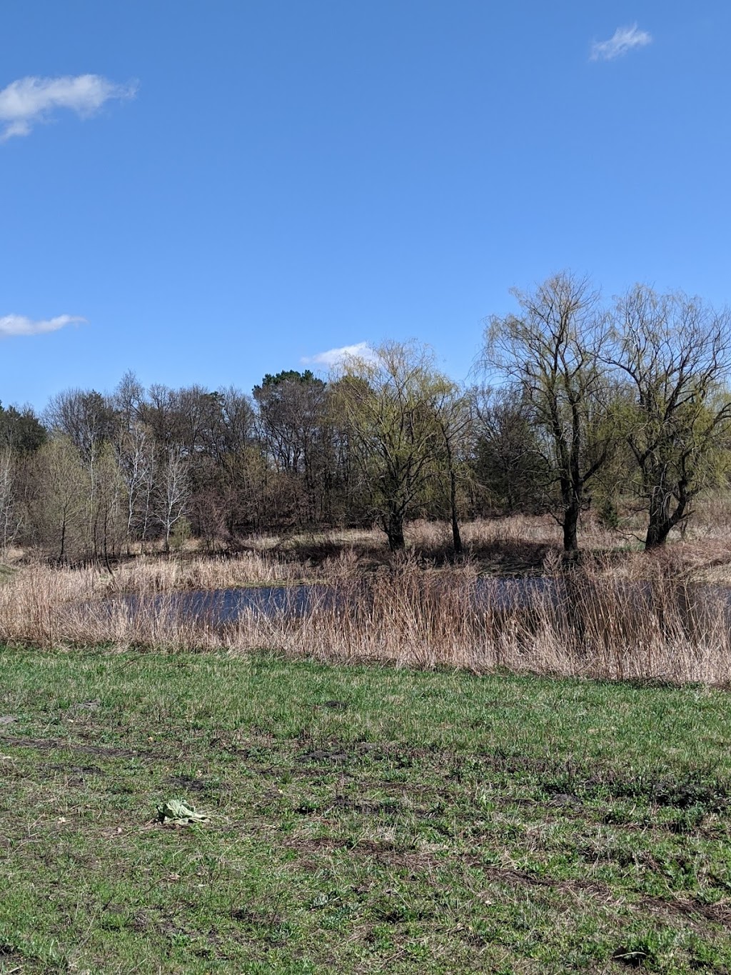 Pine Hills North Park | 3535 161st Ave NW, Andover, MN 55304, USA | Phone: (763) 767-5131