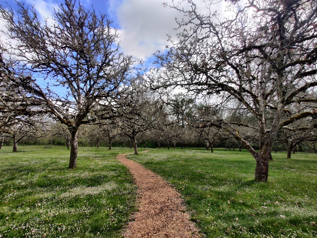 Willamette Mission State Park | Willamette Mission State Park, Gervais, OR 97026, USA | Phone: (800) 551-6949