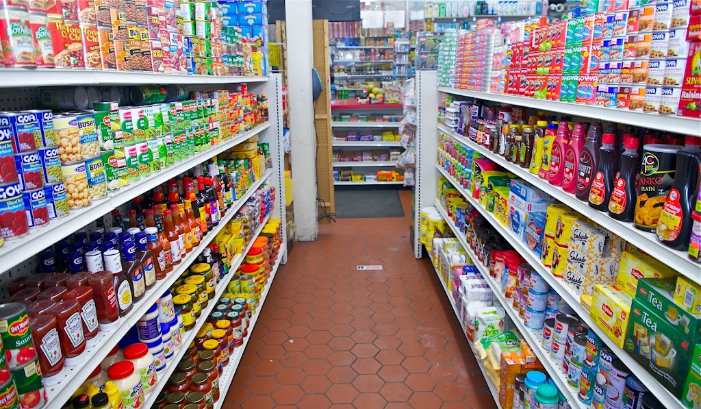 New Family Supermarket | 205 Humboldt Ave, Dorchester, MA 02121, USA | Phone: (617) 445-7135