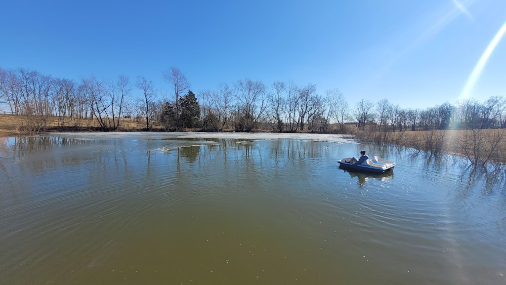 Windy Ridge Cabin | 335 Hovermale Ln, Cynthiana, KY 41031, USA | Phone: (859) 351-7112