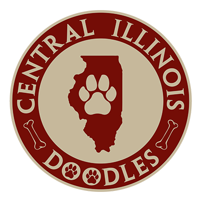 Central Illinois Doodles | 780N CR 60E, Arthur, IL 61911, United States | Phone: (217) 549-7589