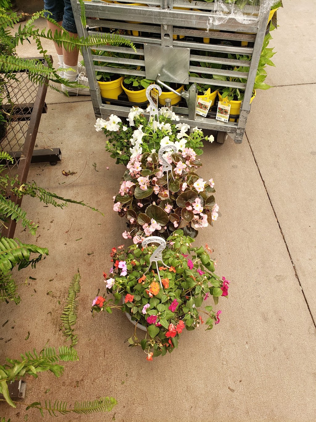 Lowes Garden Center. Outdoor Storage Cabinet. | 1335 Walker Chapel Rd, Fultondale, AL 35068, USA | Phone: (205) 948-0556