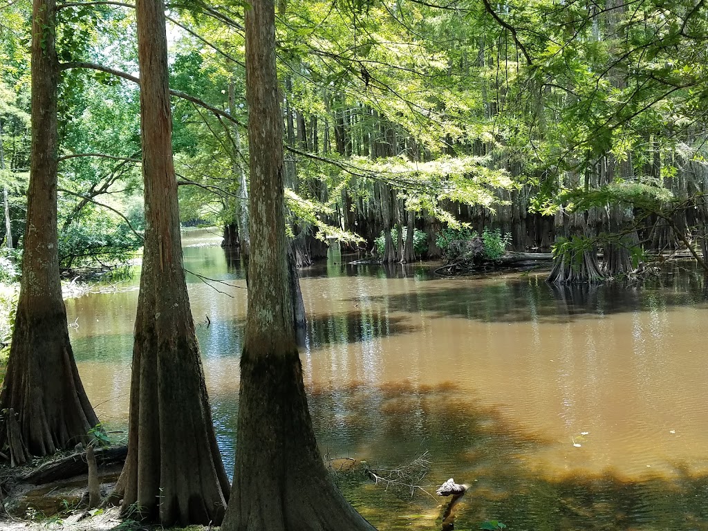 Bogue Chitto National Wildlife Refuge | Lock 1 Rd, Pearl River, LA 70452, USA | Phone: (985) 882-2000