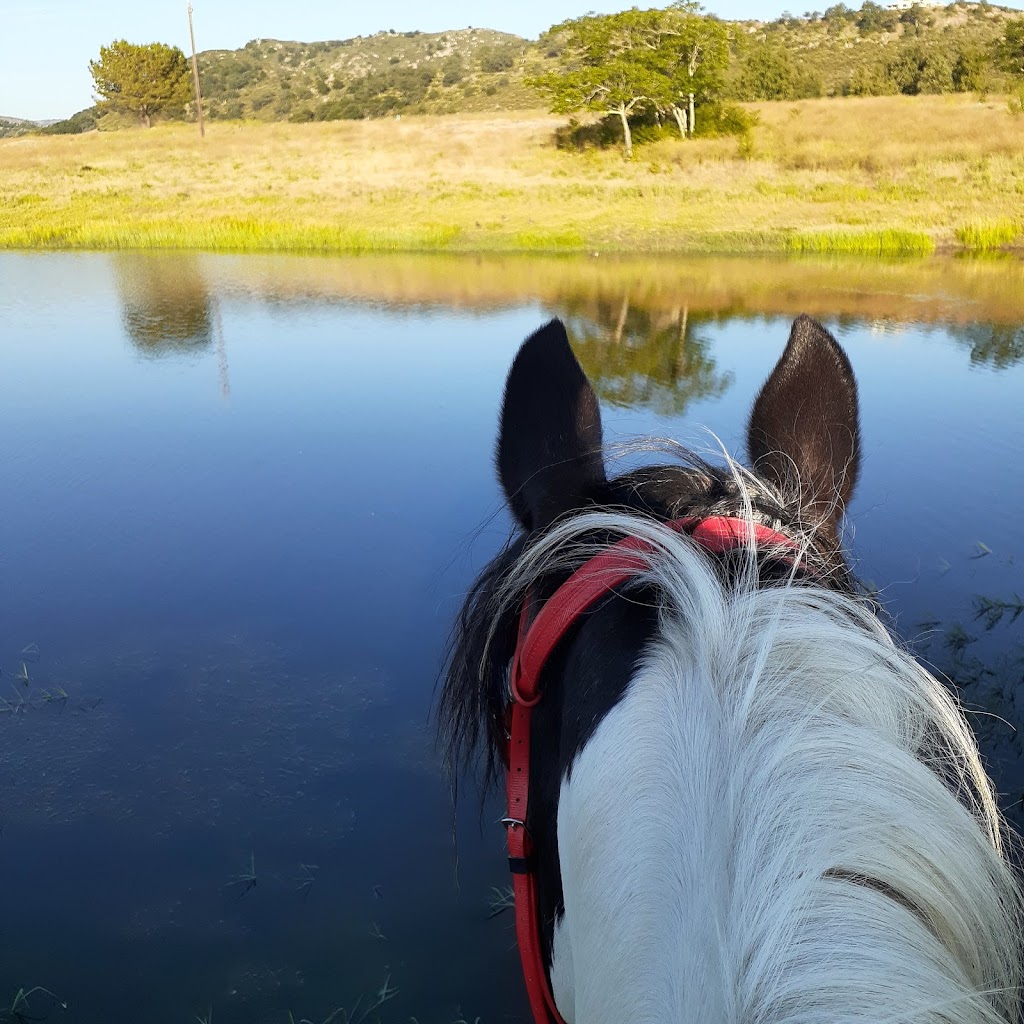 Meadow Star Ranch | 26702 CA-78, Ramona, CA 92065 | Phone: (858) 353-0810