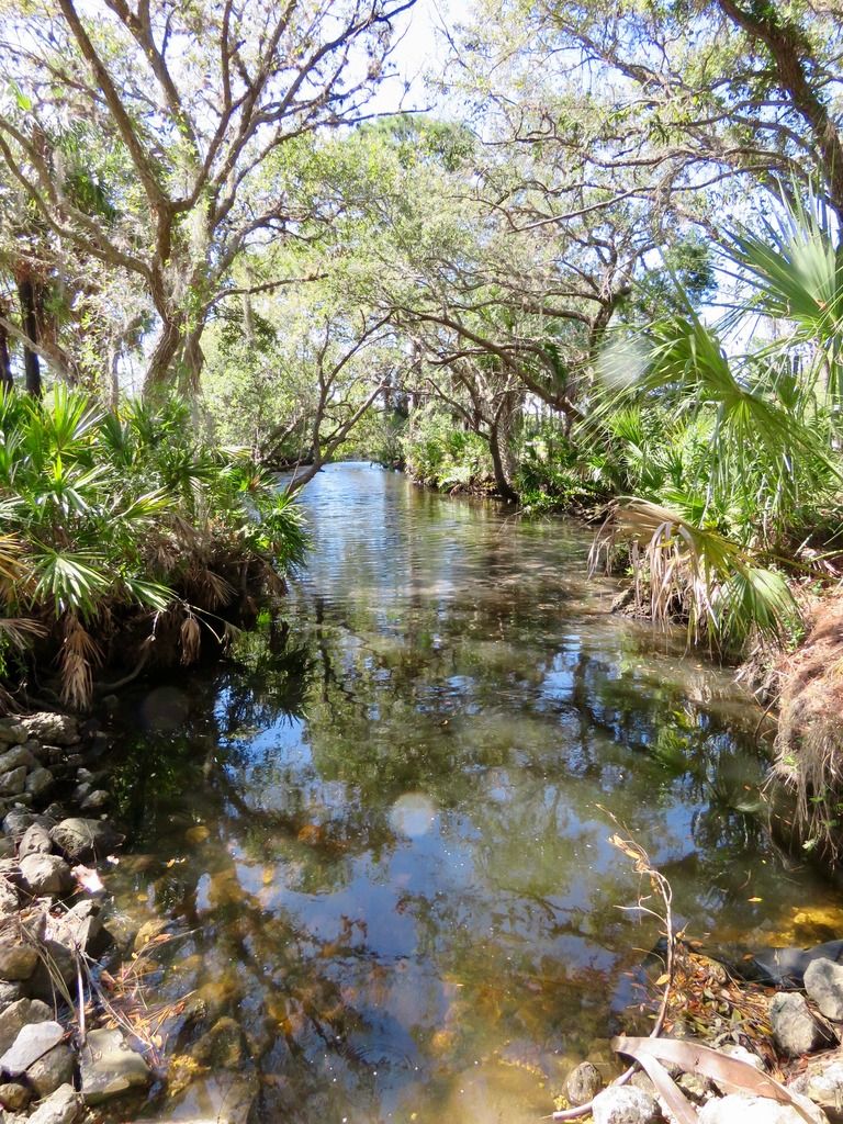 Werner-Boyce State Park Scenic Dr Trail Head | 10333 Scenic Dr, Port Richey, FL 34668, USA | Phone: (727) 816-1890