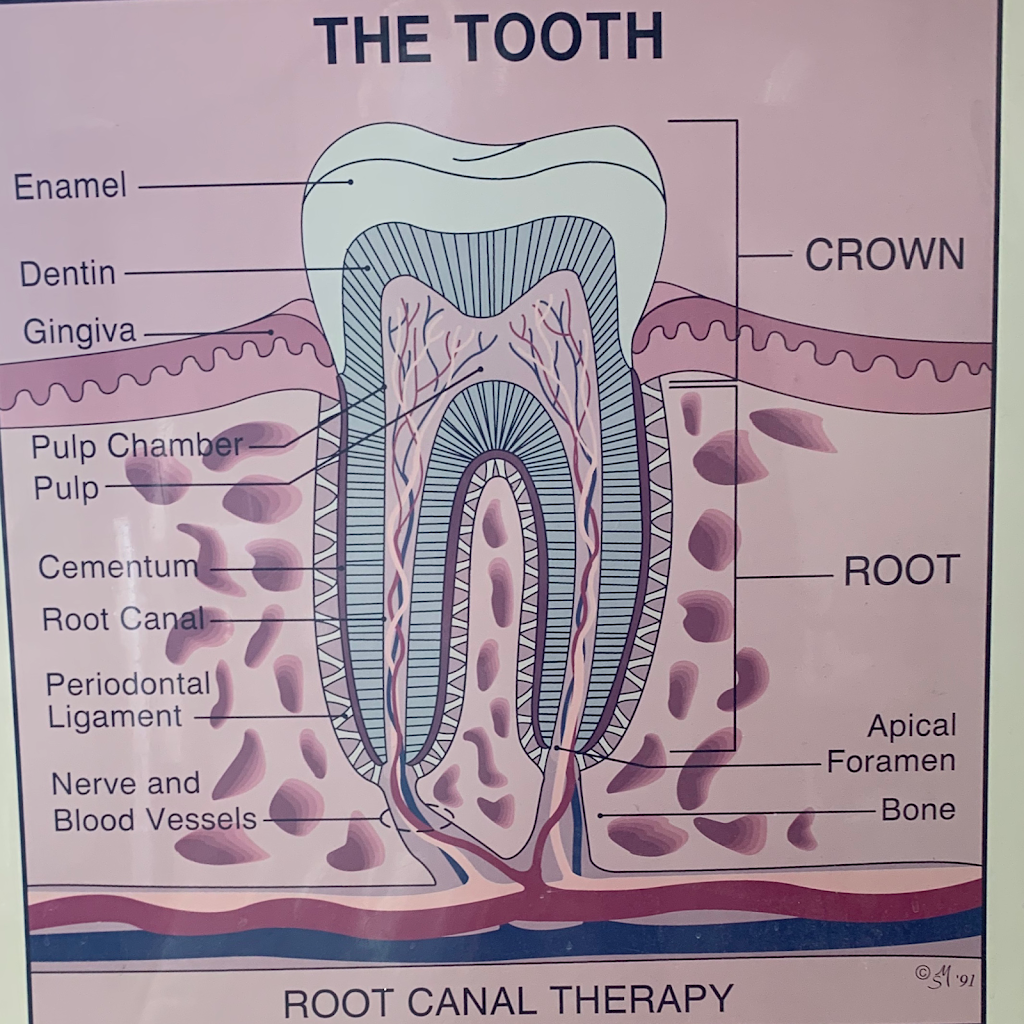 Deluxe Dental Oak Park - Implant Center | 23350 Greenfield Rd, Oak Park, MI 48237, USA | Phone: (248) 968-2725