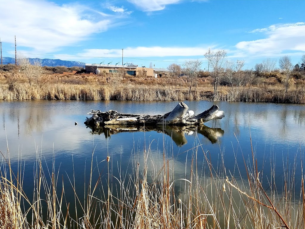 Whitfield Wildlife Conservation Area | 2424 NM-47, Belen, NM 87002 | Phone: (505) 864-8914