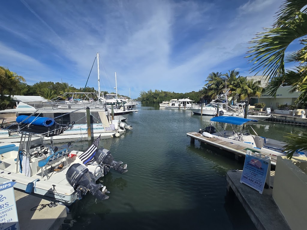 Lorelei Restaurant & Cabana Bar | 96 Madeira Rd, Islamorada, FL 33036, USA | Phone: (305) 664-2692
