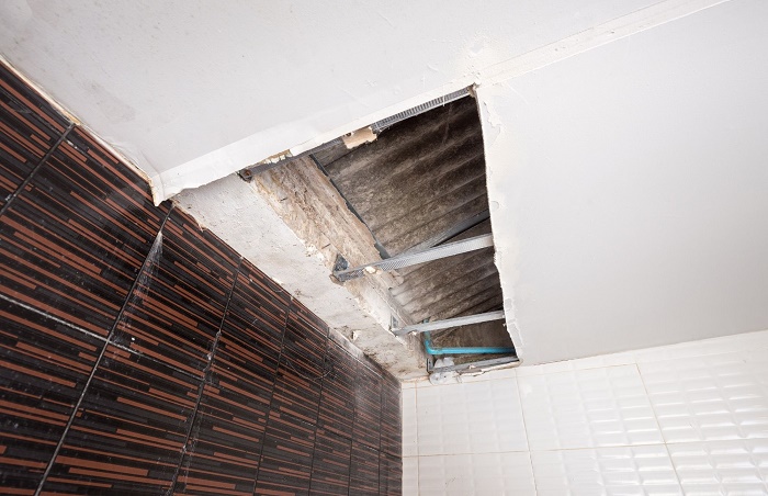 Water Damage Experts Of Cornhusker State | 8540 Executive Woods Dr, Lincoln, NE 68512, United States | Phone: (402) 882-7656