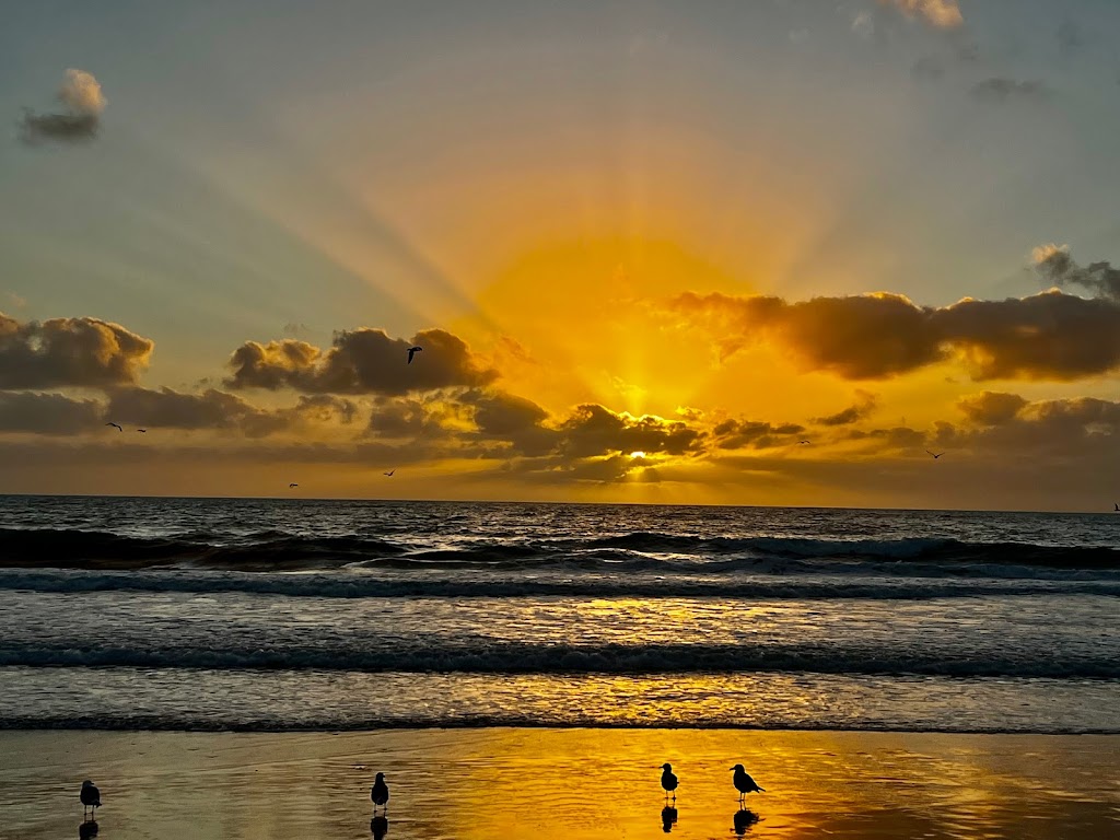 Carlsbad Village Beach | Carlsbad, CA 92008, USA | Phone: (760) 720-7001