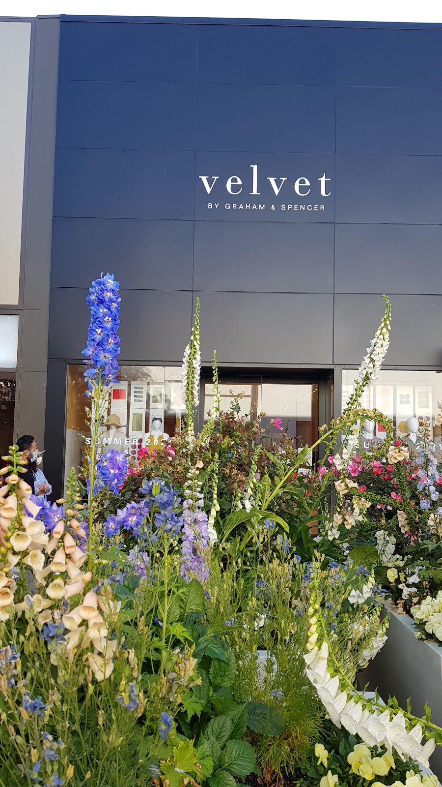 Velvet by Graham & Spencer | 180 El Camino Real suite 119 building d, Palo Alto, CA 94304, USA | Phone: (650) 327-1766