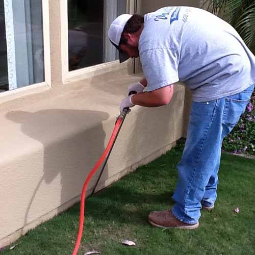 Varsity Termite & Pest Control | 6056 E Baseline Rd #122, Mesa, AZ 85206, United States | Phone: (602) 757-8252