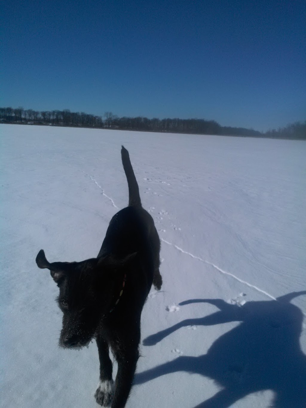 Grassy Lake State Natural Area | Otsego Rd, Rio, WI 53960, USA | Phone: (608) 266-2621