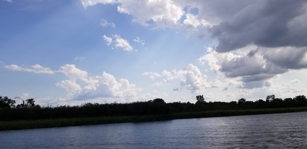 Swan Lake Sedge Meadow & Barrens State Natural Area | Pardeeville, WI 53954, USA | Phone: (888) 936-7463