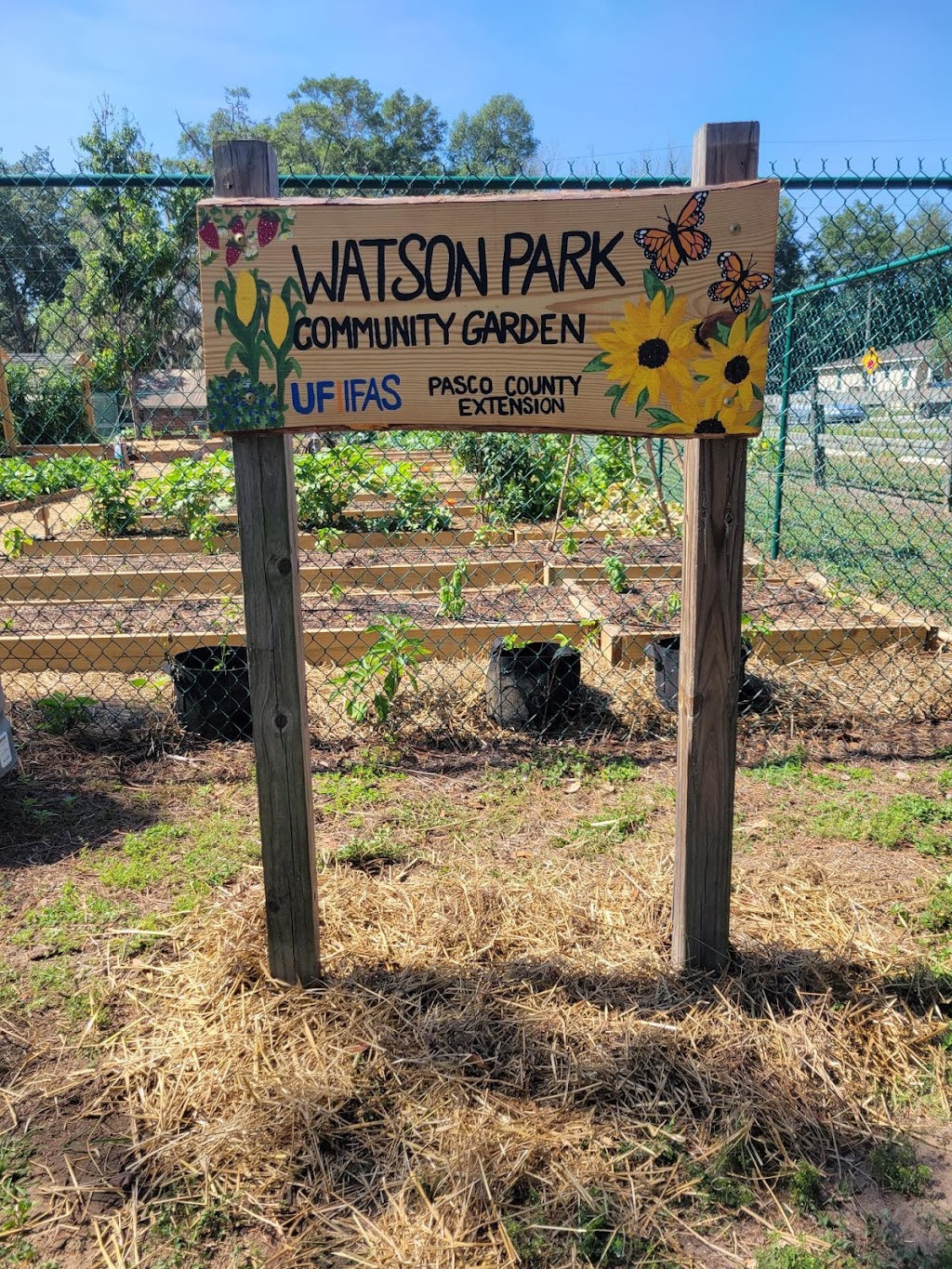 Watson Park Community Garden | Watson Park, Dade City, FL 33523, USA | Phone: (352) 521-1255