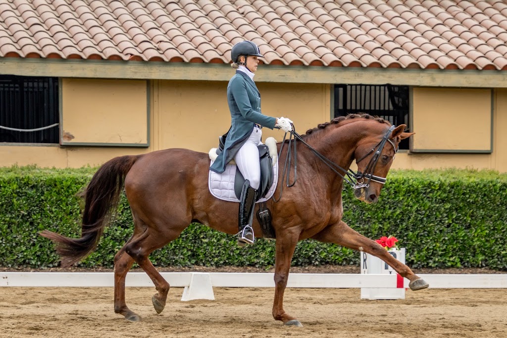 Talia Hershaft Dressage | 11127 Orcas Ave, Lake View Terrace, CA 91342 | Phone: (303) 646-7112