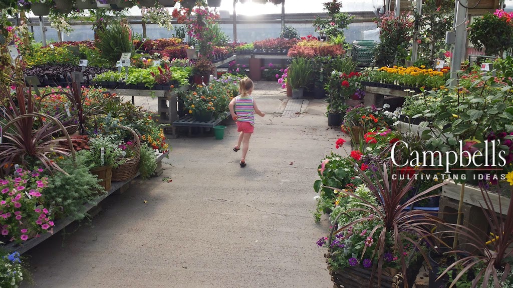 Campbells Nurseries & Garden Centers, Inc. | 2342 S 40th St, Lincoln, NE 68506 | Phone: (402) 483-7891