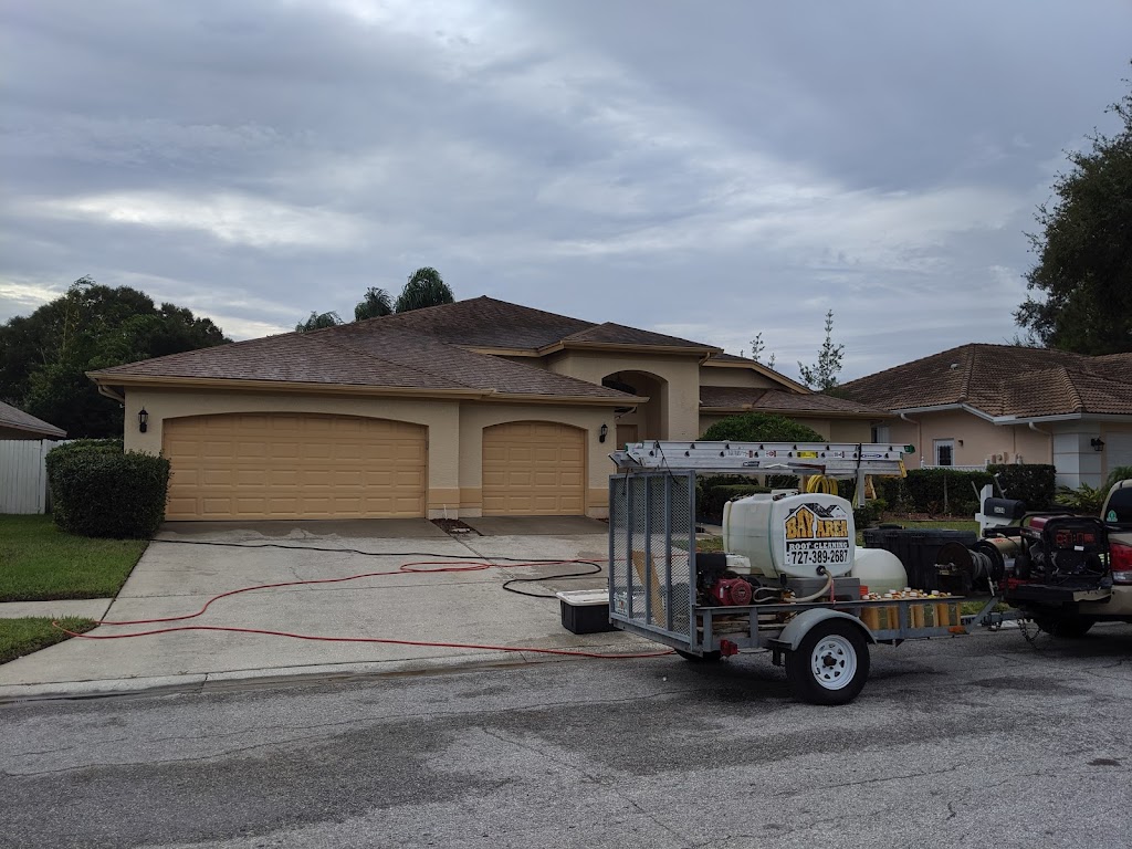 Bay Area Roof Cleaning Co. | 5109 Drury Ct, New Port Richey, FL 34653, USA | Phone: (727) 389-2687